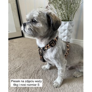 Szelki guard Panterka - Modne i trwałe | Kup teraz