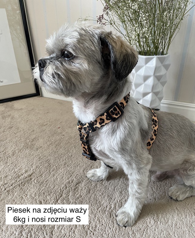 Szelki guard Panterka - Modne i trwałe | Kup teraz