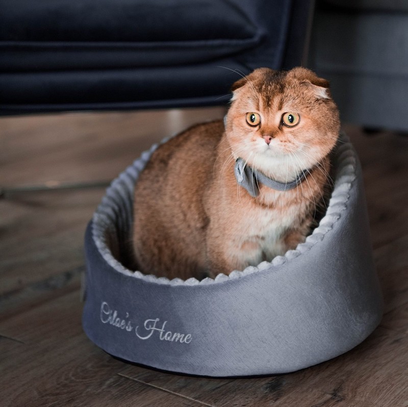 Bed/box for a cat NEAPOL | PETZWELCOME