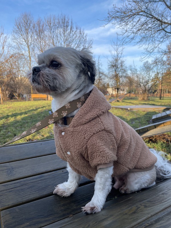 Brązowa bluza Teddy | Chloe's Home | PETZWELCOME