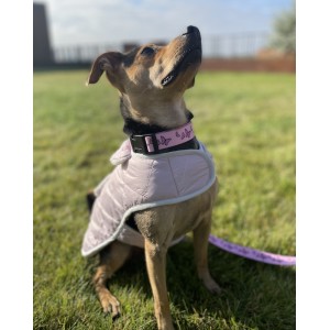 Winter jacket for a dog with sheepskin SIENNA khaki