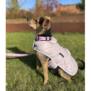 Winter jacket for a dog with sheepskin SIENNA khaki