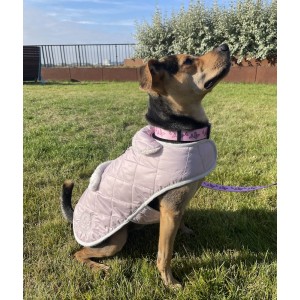 Winter jacket for a dog with sheepskin SIENNA khaki
