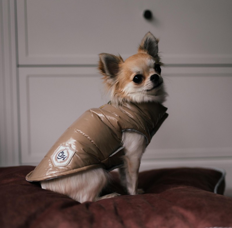 BERGAMO jacket green | PETZWELCOME