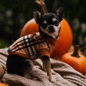 Turtleneck Check red| PETZWELCOME