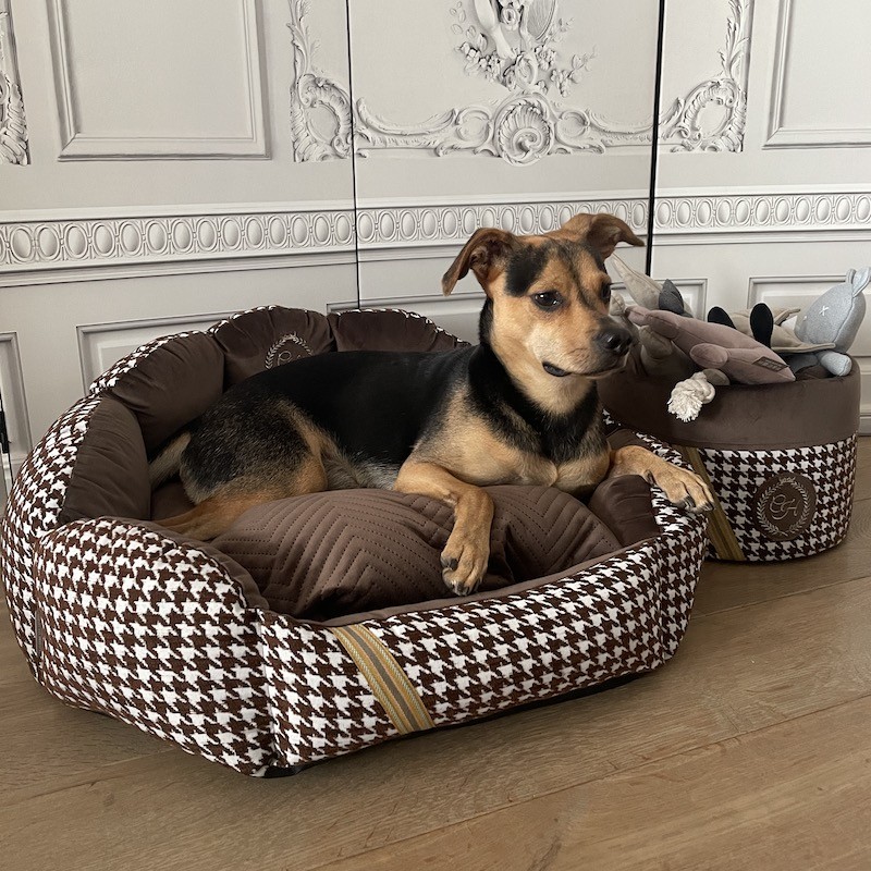 Exclusive bed for dog or cat POSITANO brown | PETZWELCOME