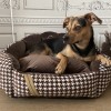 Exclusive bed for dog or cat POSITANO brown | PETZWELCOME