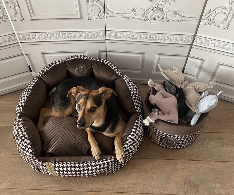 Exclusive bed for dog or cat POSITANO brown | PETZWELCOME