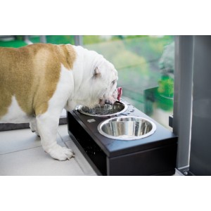 DELI gray dog bowl | PETZWELCOME