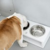 DELI white dog bowl | PETZWELCOME