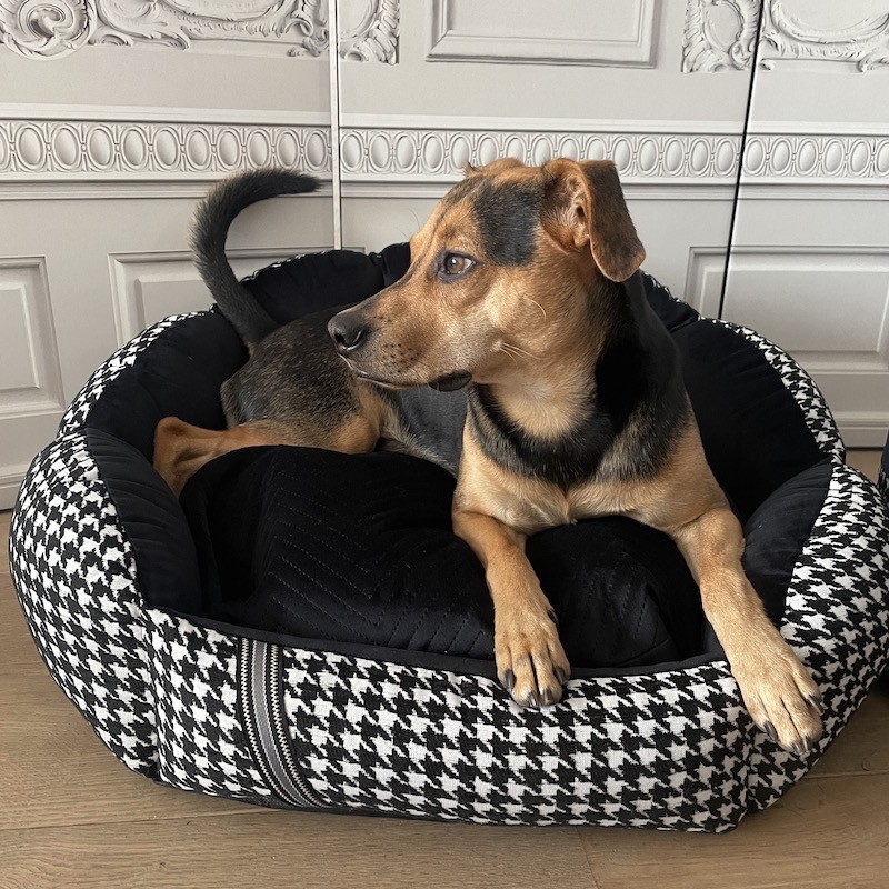 Exclusive bed for dog or cat POSITANO black | PETZWELCOME