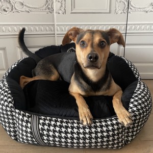 Exclusive bed for dog or cat POSITANO black | PETZWELCOME