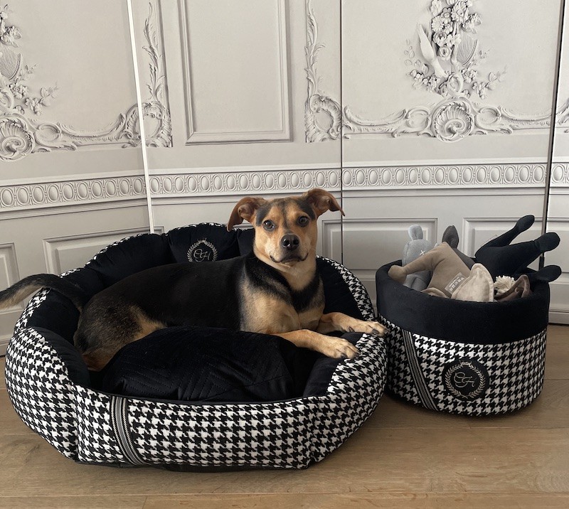 Exclusive bed for dog or cat POSITANO black | PETZWELCOME