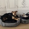 Exclusive bed for dog or cat POSITANO black | PETZWELCOME