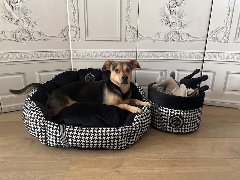 Exclusive bed for dog or cat POSITANO black | PETZWELCOME