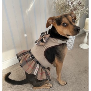 Sukienka Szelki dla psa 2w1 Dublin | PETZWELCOME