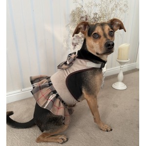 Sukienka Szelki dla psa 2w1 Dublin | PETZWELCOME