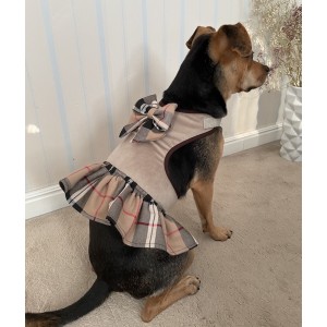 Sukienka Szelki dla psa 2w1 Dublin | PETZWELCOME