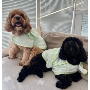 Szlafrok kąpielowy dla psa frotte zielony | PETZWELCOME
