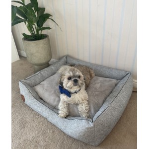 Legowisko dla psa lub kota CEZAR Natura szary | Royal Lauren Design | PETZWELCOME