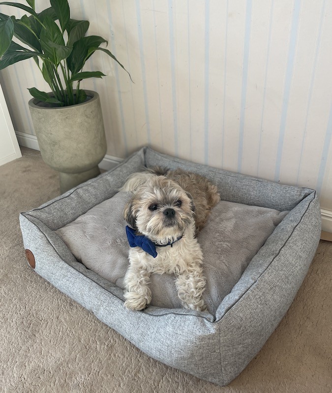 Legowisko dla psa lub kota CEZAR Natura szary | Royal Lauren Design | PETZWELCOME