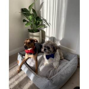 Legowisko dla psa lub kota CEZAR Natura szary | Royal Lauren Design | PETZWELCOME