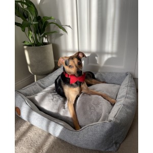 Legowisko dla psa lub kota CEZAR Natura szary | Royal Lauren Design | PETZWELCOME