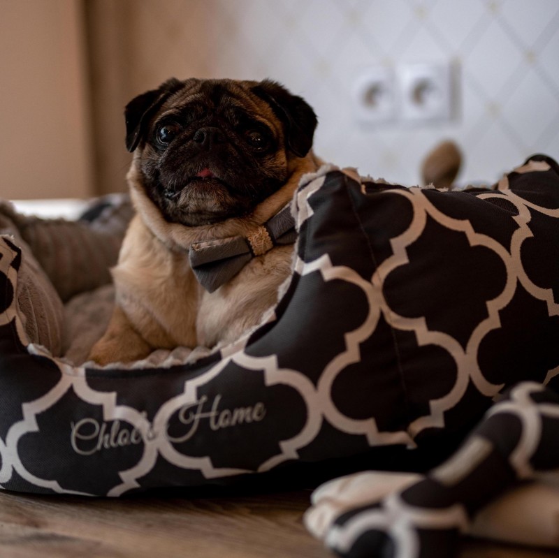 Posłanie ROME szare w marokańskie wzory| PETZWELCOME