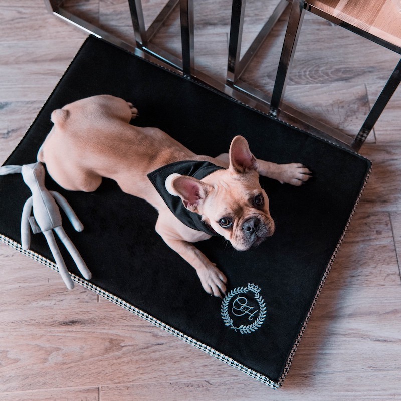 Orthopedic pet bed Porto black | PETZWELCOME