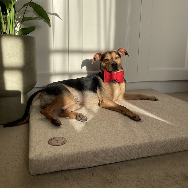 Pet bed DEMI mattress  Natura beige| Lauren Design | PETZWELCOME