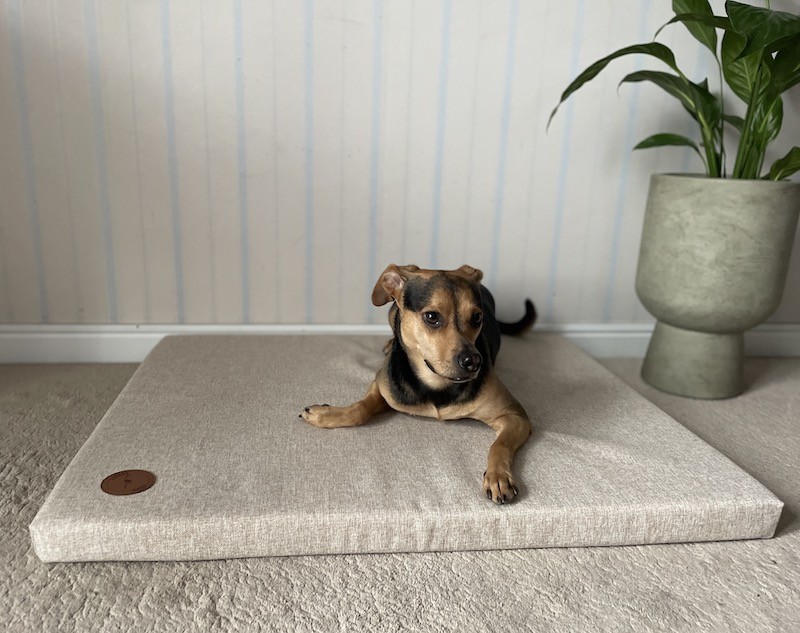 Pet bed DEMI mattress  Natura beige| Lauren Design | PETZWELCOME