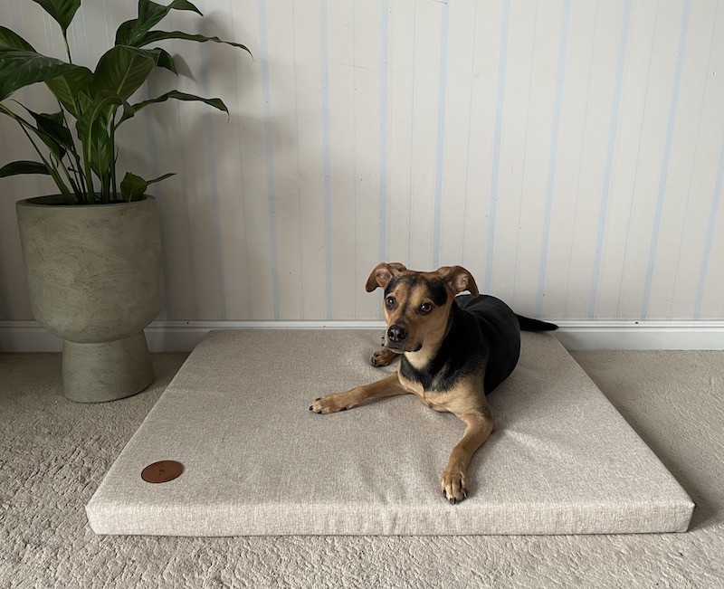Materac dla psa DEMI Natura beżowy | Lauren Design | PETZWELCOME