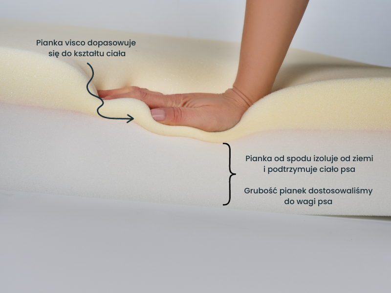 Orthopedic Bed For A Dog SONO Mono Beige | PETZWELCOME