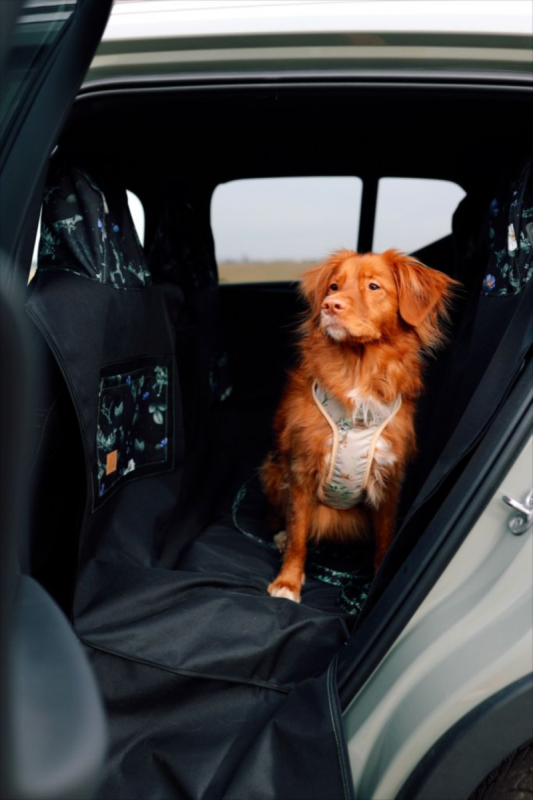 Car seat cover for a dog „KUKO+” PAWRADISE | Bebobi | PETZWELCOME