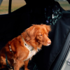 Car seat cover for a dog „KUKO+” PAWRADISE | Bebobi | PETZWELCOME