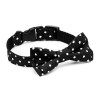 Polka-dot bow tie for a dog or cat CLASSIC black | PETZWELCOME