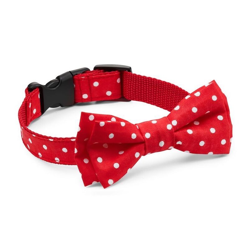 Polka-dot bow tie for a dog or cat CLASSIC red | PETZWELCOME
