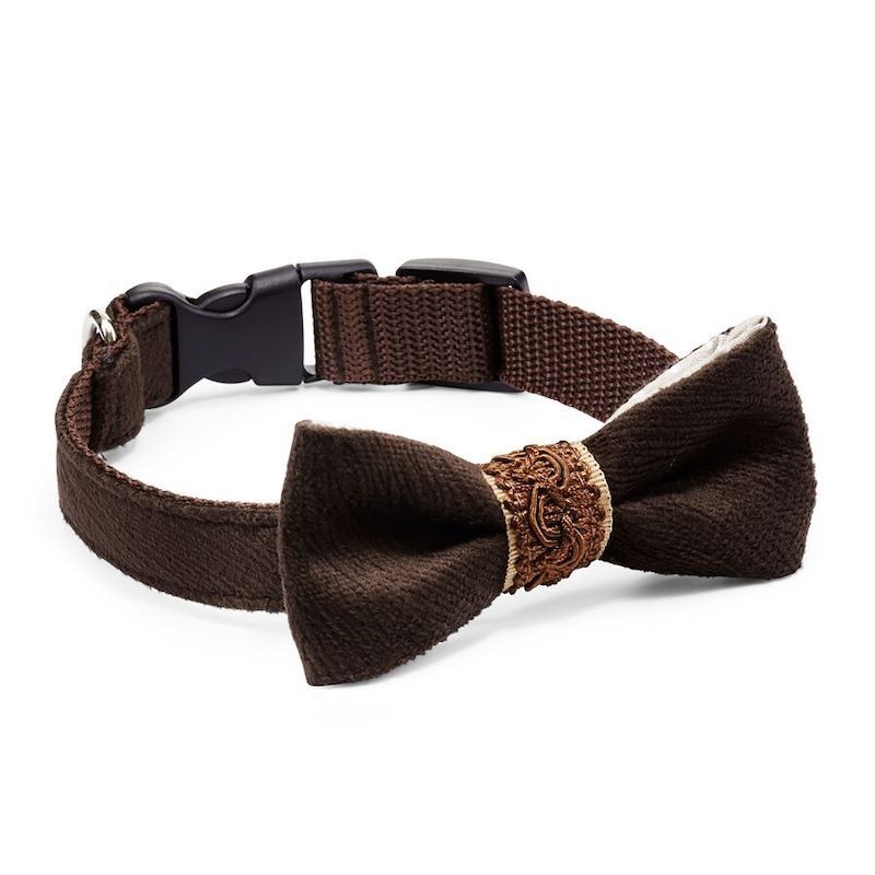 Luxury brown bow tie with collar ROYAL | PETZWELCOME
