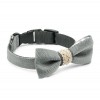 Luxury gray bow tie with collar ROYAL | PETZWELCOME