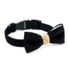 Luxury black bow tie with collar ROYAL | PETZWELCOME