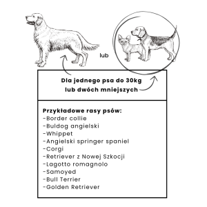 Mata ochronna do samochodu DENGU 2/3 Szara | BeBobi | PETZWELCOME