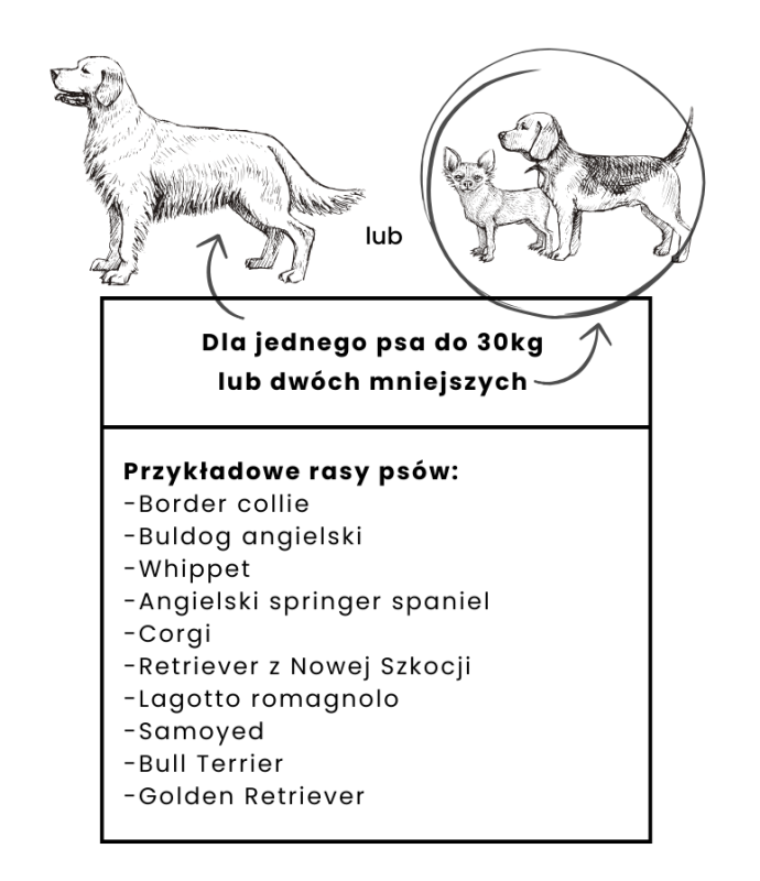 Mata ochronna do samochodu DENGU 2/3 Szara | BeBobi | PETZWELCOME