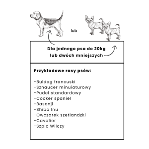 Pokrowiec do samochodu na siedzenie dla psa „DENGU” How r u summer| BeBobi | PETZWELCOME