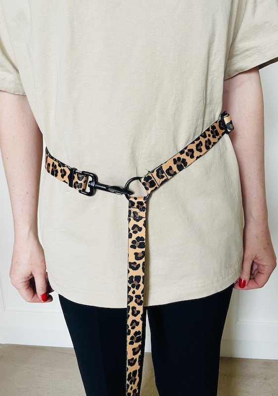 Dog leash 4 in 1, various colors | PETZWELCOME