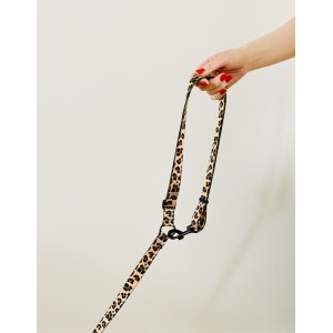 Dog leash 4 in 1, various colors | PETZWELCOME