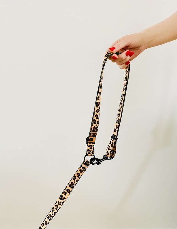 Dog leash 4 in 1, various colors | PETZWELCOME