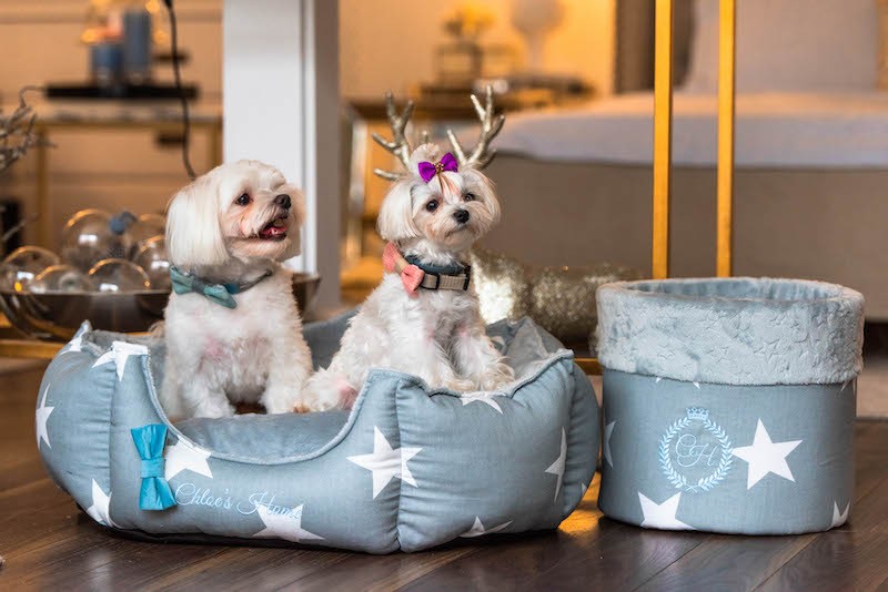 Box for dog toys LOS ANGELES gray | PETZWELCOME