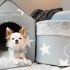 Box for dog toys LOS ANGELES gray | PETZWELCOME