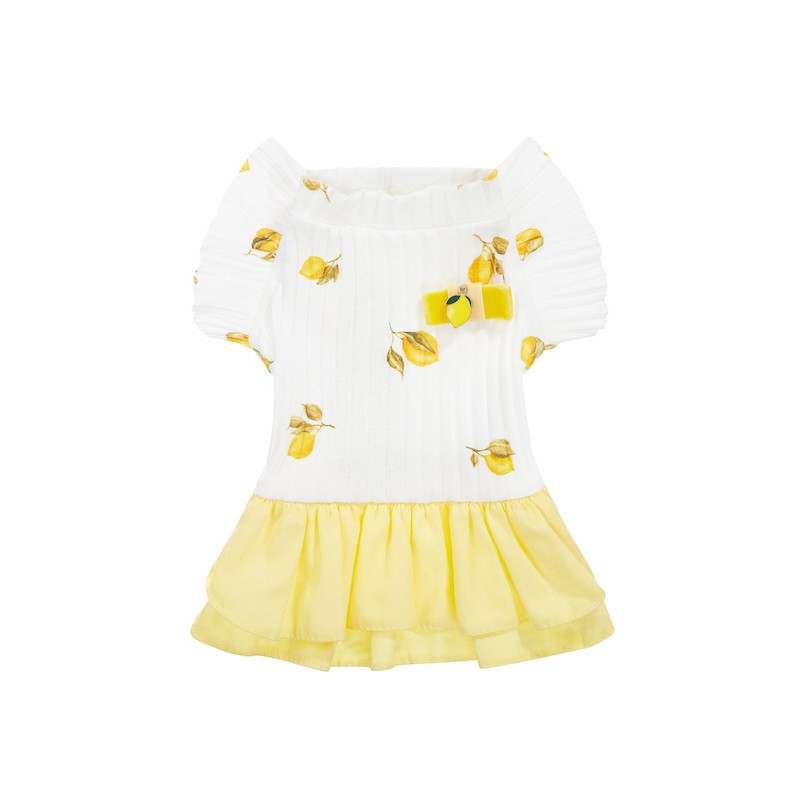 Dress for a dog Fruity | PETZWELCOME