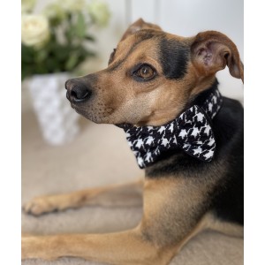 Mucha dla psa w pepitkę | PETZWELCOME